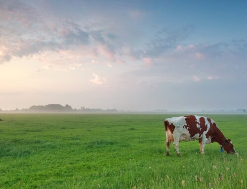 What Every Farmer Should Know About Antimicrobial Resistance